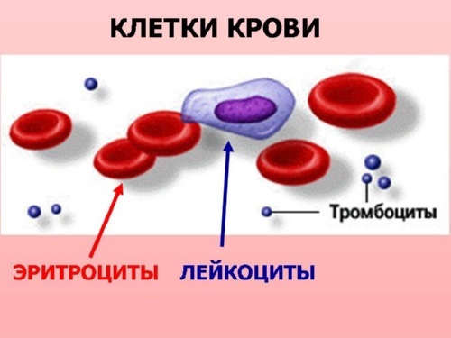 Анализ крови по показателям таблица thumbnail
